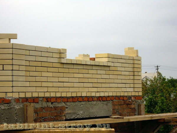 IMGP1681.JPG