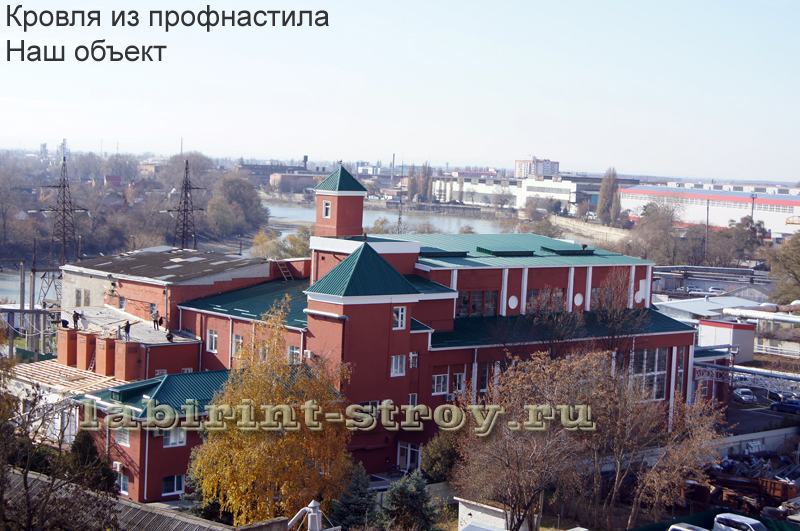 DSC06611.jpg