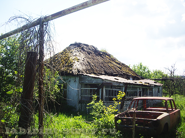 IMGP0037.jpg