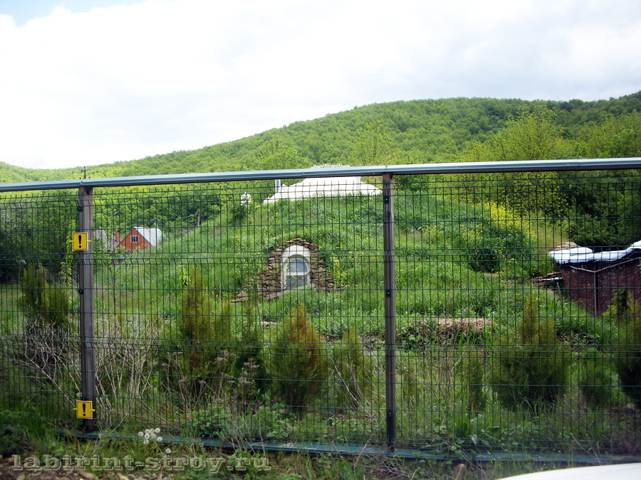 IMGP0040.jpg